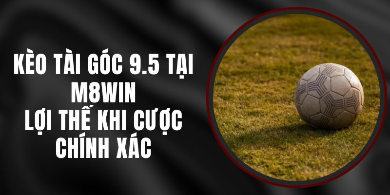 Kèo Tài Góc 9.5 Tại M8WIN – Lợi Thế Khi Cược Chính Xác